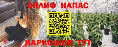 спиды Краснознаменск