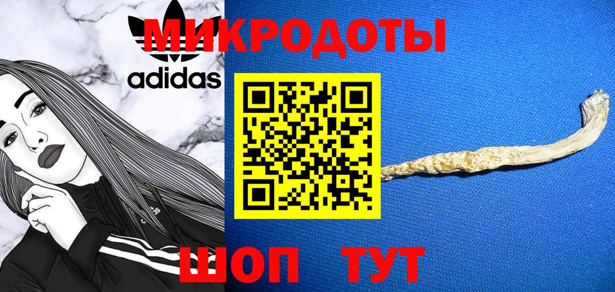 Галлюциногенные грибы Cubensis Гудермес