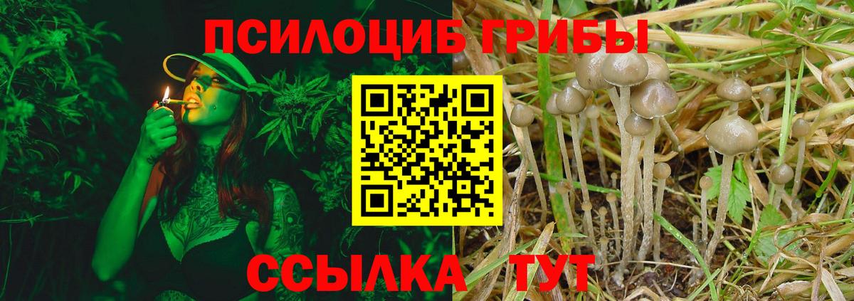 Псилоцибиновые грибы ЛСД  Вход с VPN  Гудермес 